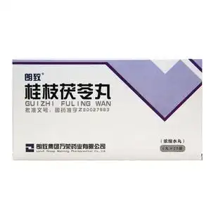 朗致 桂枝茯苓丸(浓缩水丸) 6丸*20袋/盒