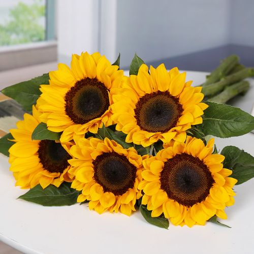 向日葵云南鲜花直批昆明基地太阳花毕业花束水养鲜花速递同城