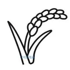 粮食简笔画集