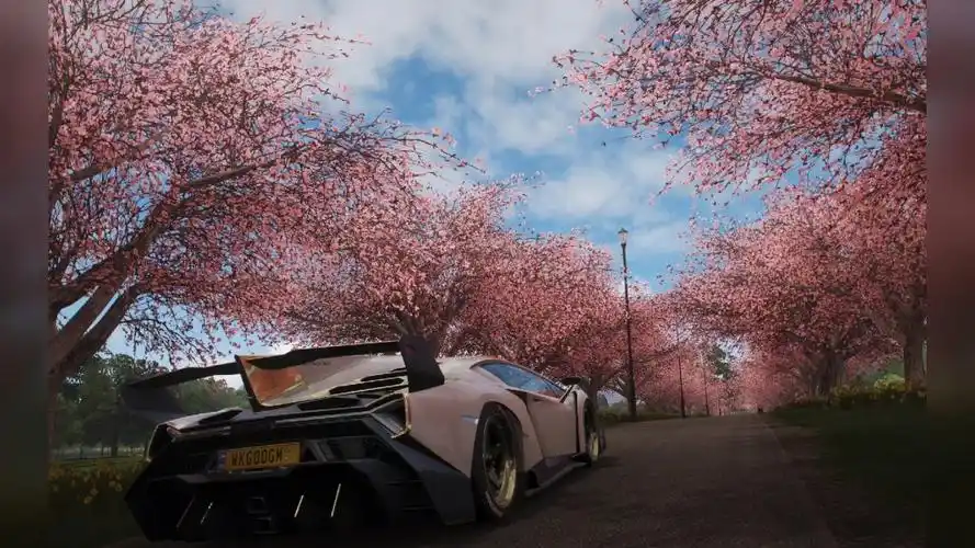 地平线4樱花小道