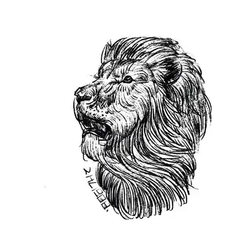 动物速写  #动物线描  #procreate绘画  #狮子线描