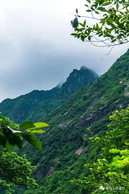 都庞岭大山里的故事