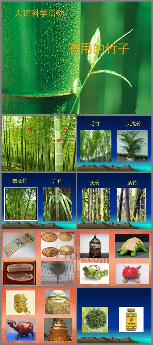 大班科学有用的竹子ppt