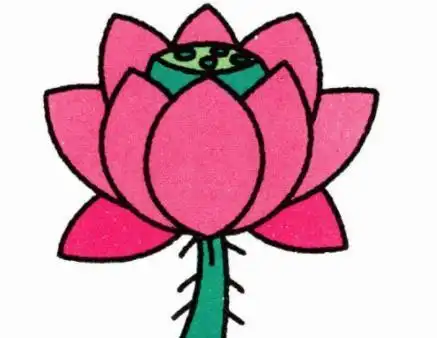 彩色荷花简笔画步骤 荷花