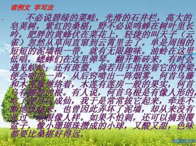 写景中的点面结合