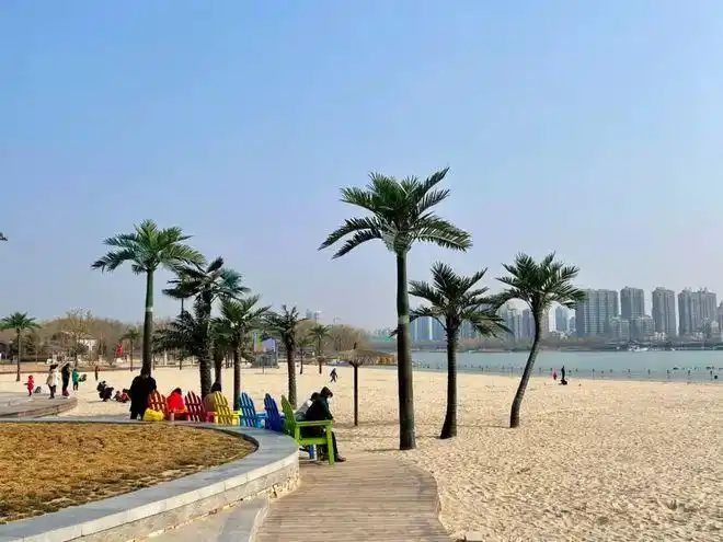 开封西湖惊现不少死鱼