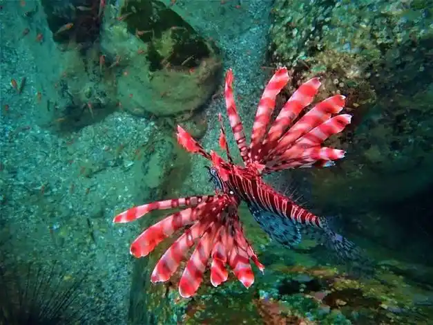 比刷手机还吸引娃,暑假杀时间超过瘾!