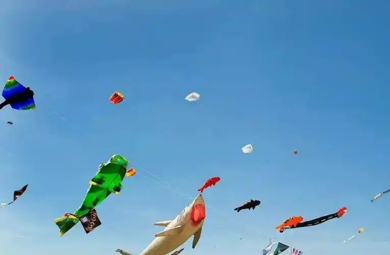 村端午节有放蜈蚣风筝的传统万宁放风筝活动具有历史传统放风筝鹧鸪茶