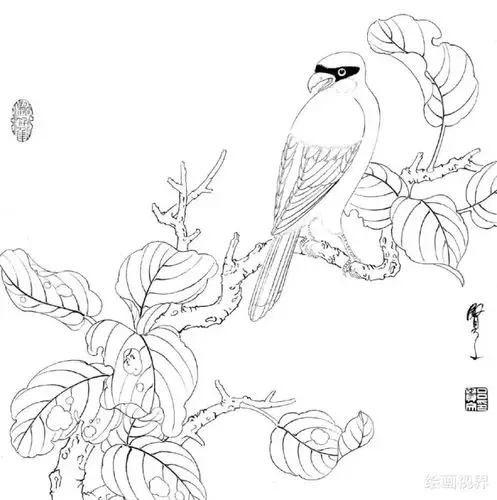 白描线稿基础绘画素材大全(一)