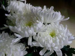 写给天堂的父亲