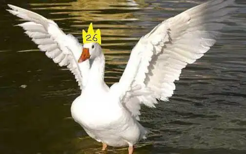 2016老e生贺(改后)_搞笑_生活_bilibili_哔哩哔哩