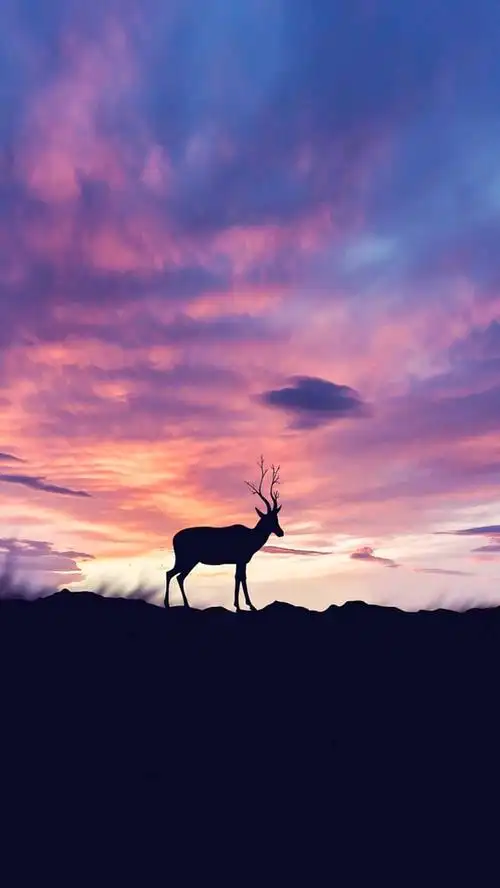 风景 壁纸 手机 壁纸 微信朋友圈封面