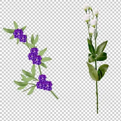 花枝花草免抠png透明图片素材(第四集)(7)