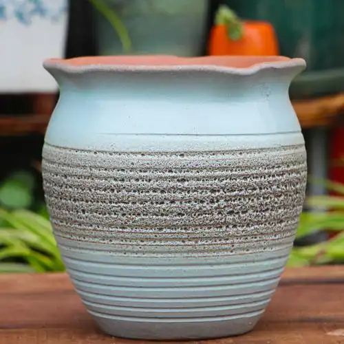 多肉花盆粗陶陶罐大口径月季老桩紫砂兰花绿萝花盆