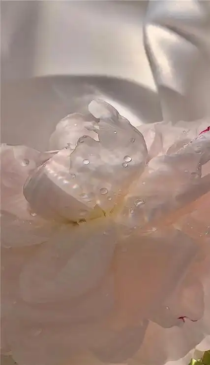 2021壁纸高清全屏简约唯美很有质感的很有个性的好看女生壁纸大全2021