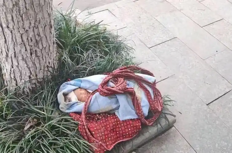 回顾湖南女婴被美国富豪收养,被要求每月花光20万,或将继承300亿