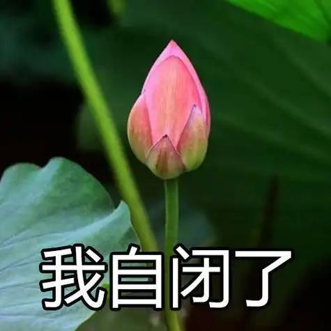 我自闭了一组佛系荷花表情包