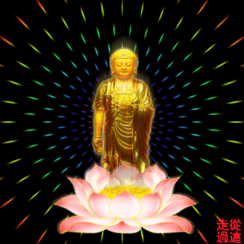 1_另类其他_手机主题免费下载佛祖保佑手机壁纸_240x320观音佛祖动态