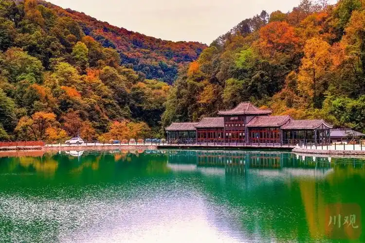 雅安天全喇叭河红叶彩林即将迎来观赏季