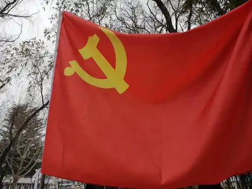 让党旗在防控斗争第一线高高飘扬 - 美篇