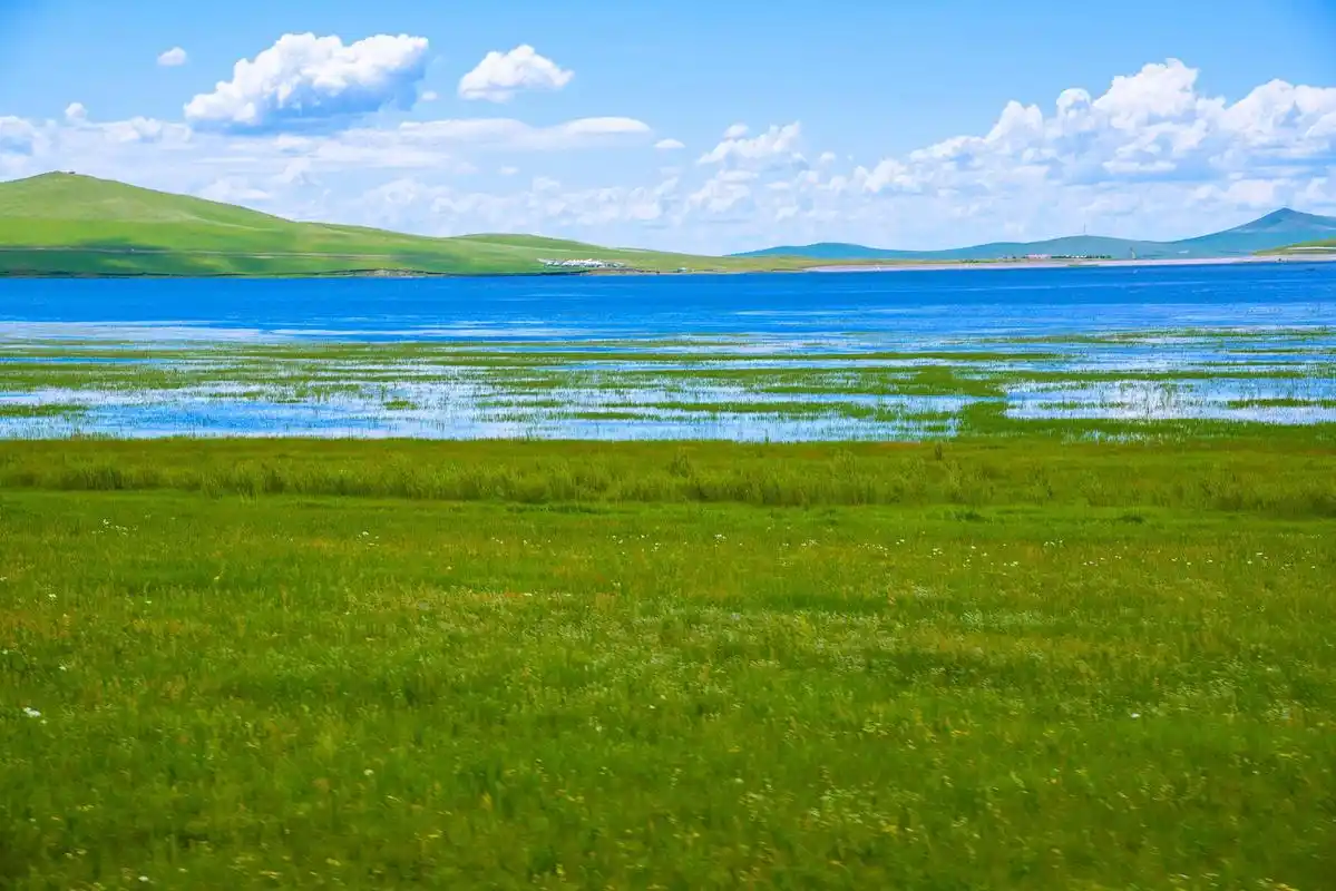 若尔盖花湖四季美景 若尔盖花湖,位于四川省阿坝藏族羌族自治州若尔盖