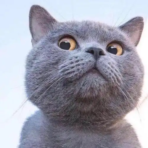 头像推荐男生,很独特的头像图片