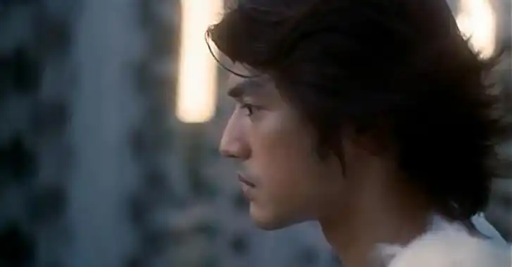 p>薰衣草(拉丁学名:lavandula angustifolia mill.