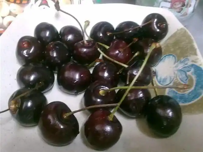 美国黑樱桃