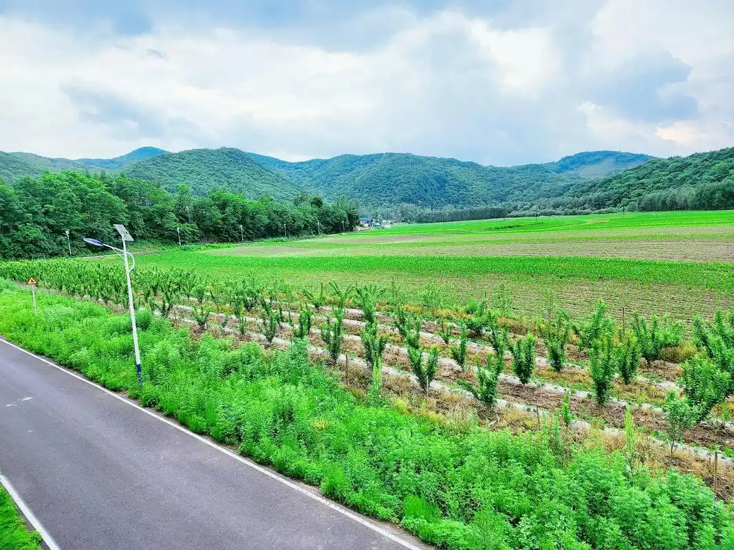 眼中有风景,心中无是非#抖音图文来了 #田园风光无限好 #生 - 抖音