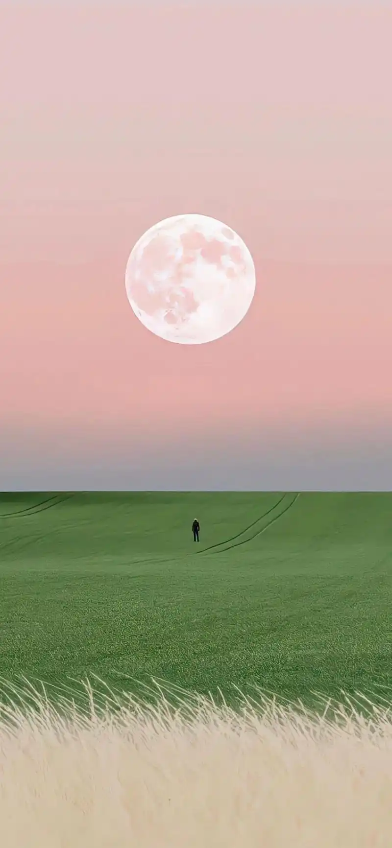 暖调温柔风背景图分享