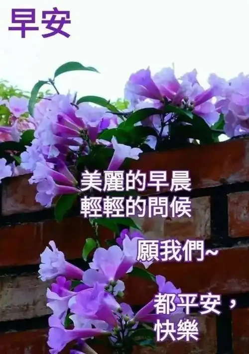 飘荡心底如云烟;浓浓牵挂,花开花谢在人间;沧海桑田,亘古不变心永远