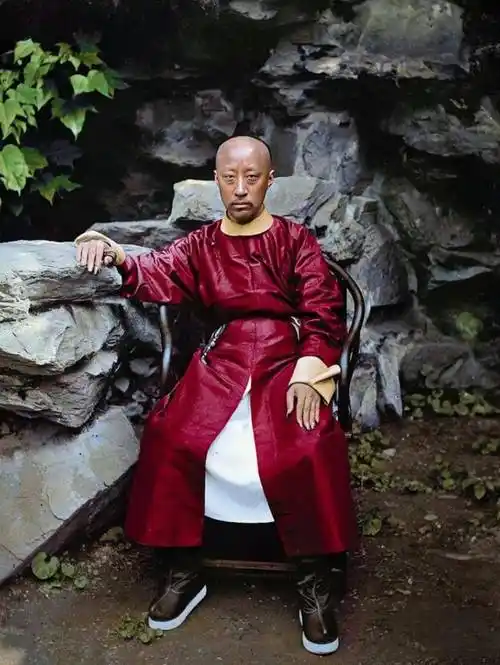 同治帝为何19岁就驾崩?