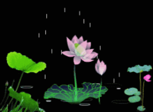 风景动图-花瓣网|陪你做生活的设计师 | ii : floral patterns