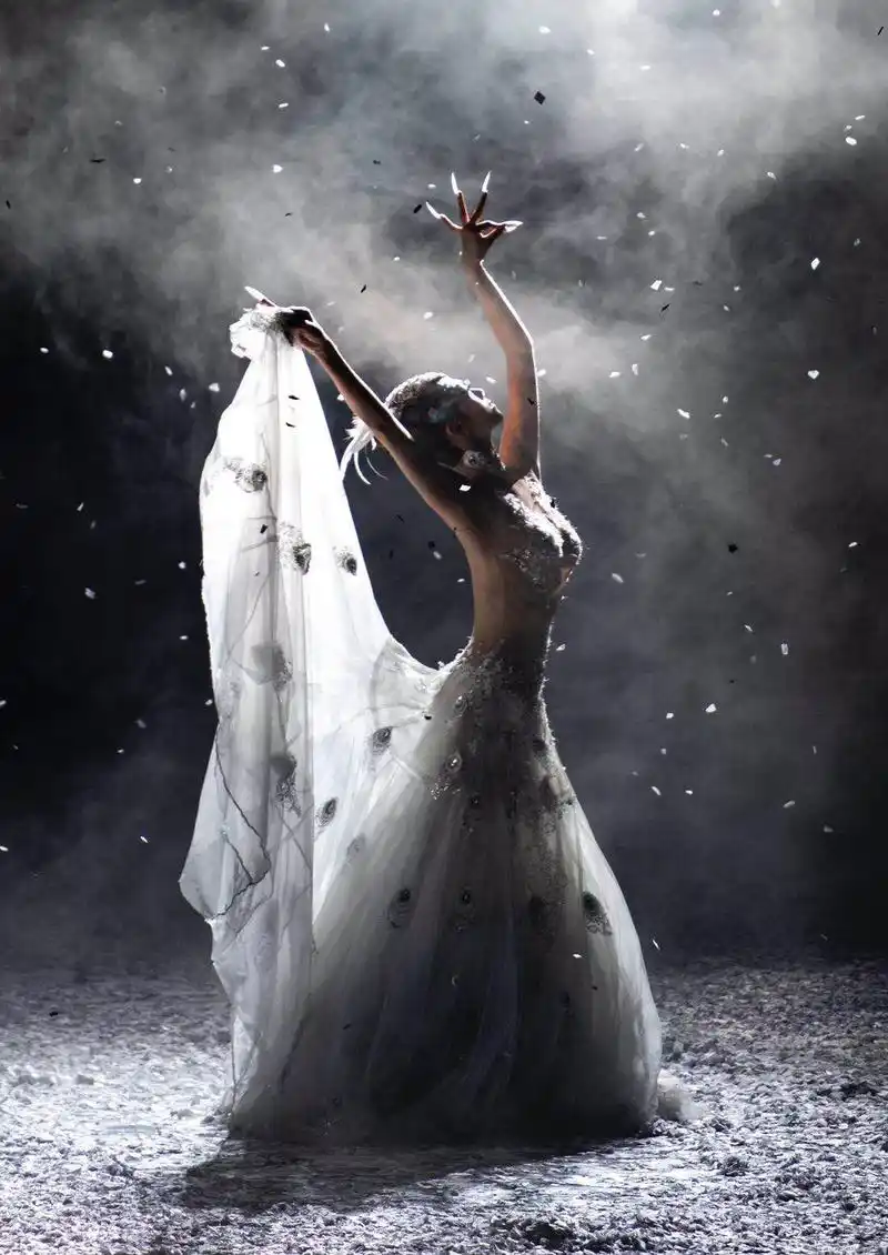 杨丽萍孔雀迟暮