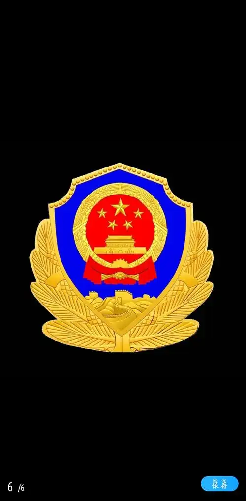 最近很火的国徽息屏显示