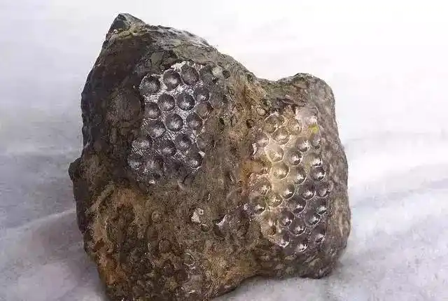 库恩国际拍卖陨石怎么分辨鉴定出手