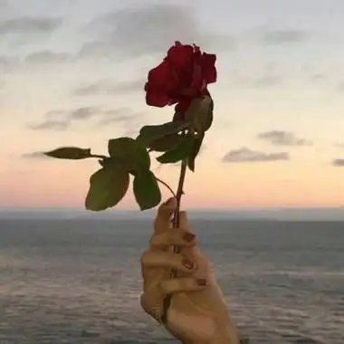 高清好看有意境的头像图片