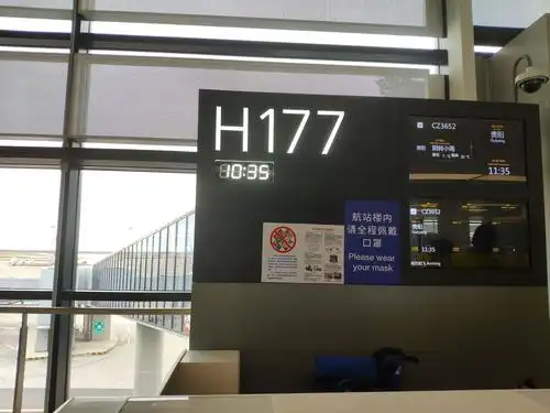 浦东机埸,到登机口还要搭乘机场轻轨,第一次,如果不提前几个小时,估计