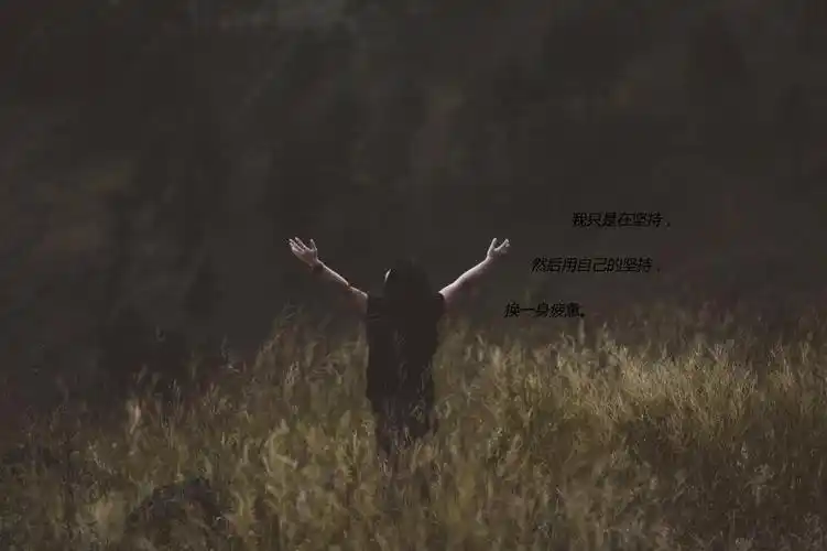 失望放弃的图片带字,高清壁纸图片,非主流-回车桌面