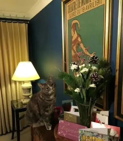 回顾看到费翔的豪宅后突然觉得一个人好像也不错他生活得怎样