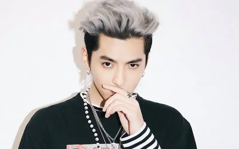 吴亦凡案二审维持13年原判关联企业仅剩1家存续