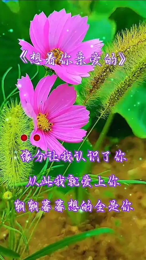 想着你亲爱的,你是我一生的执着,只有你能让我快乐开心幸福甜蜜