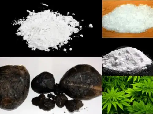 【关注】公租房小区开展禁毒普法宣传活动_毒品