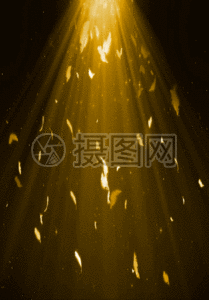 羽毛流苏风铃gif图片-羽毛流苏风铃动态图-羽毛流苏风铃gif格式下载