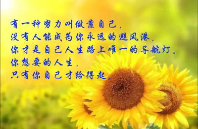 有一种努力叫做靠自己,没有人能成为你永远的避风港,你才是自己人生路