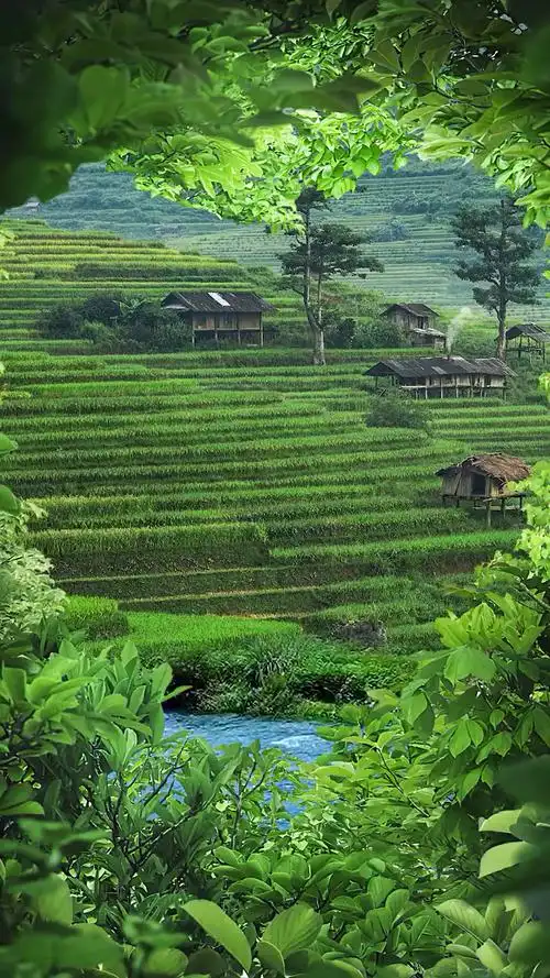 太美了,清晨见美景,舒心,静心!