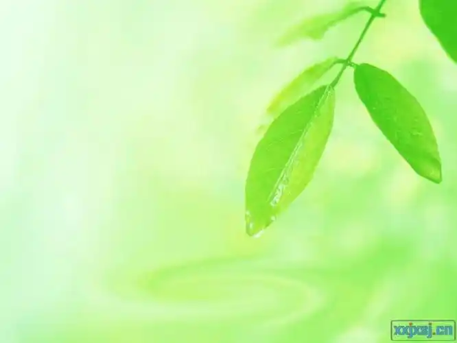 精美的ppt课件背景