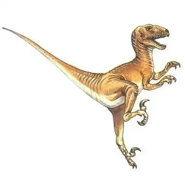 恐爪龙-你最熟悉的恐龙排行榜中榜-天天排行网