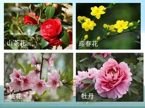 部编版二年级上册我爱阅读十二月花名歌朗读图文解读