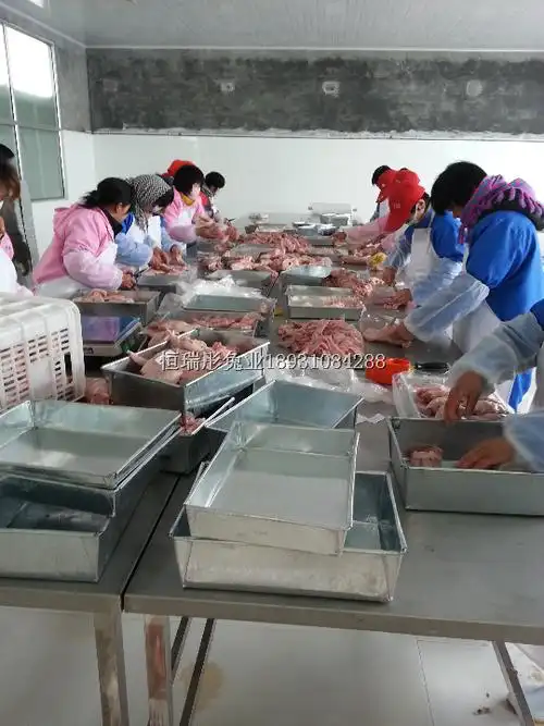 最新獭兔皮价格|兔肉批发价格